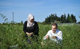 Kadın Girişimciler İçin ‘Çarşı 2025’ Açılıyor