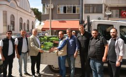 Büyükşehir’den çiftçiye fide desteği