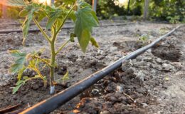 BASKİ tüm imkânlarını seferber etti