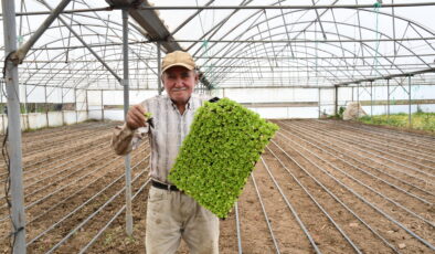 Büyükşehir desteğiyle topraklar bereketlendi