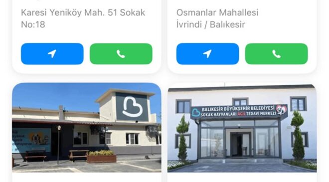 Binlerce can dost yuvalarına kavuştu