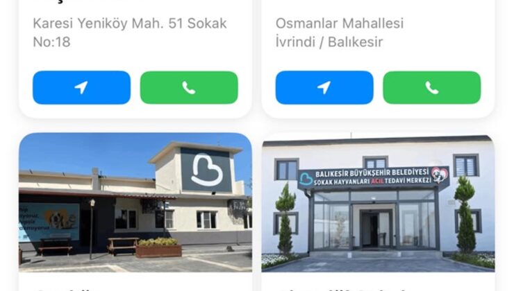Binlerce can dost yuvalarına kavuştu